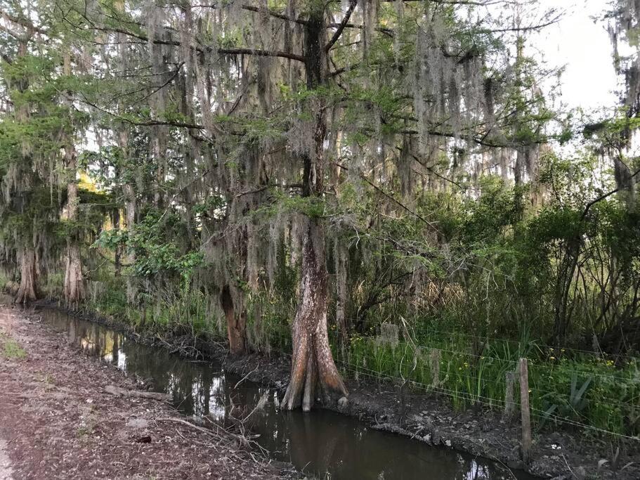La Maison Du Bayou Petite Anse Near Avery Island 뉴이베리아 외부 사진