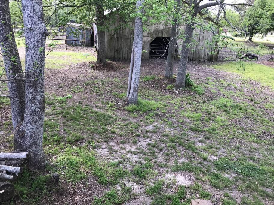 La Maison Du Bayou Petite Anse Near Avery Island 뉴이베리아 외부 사진