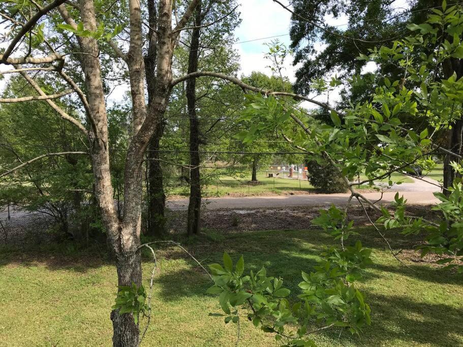 La Maison Du Bayou Petite Anse Near Avery Island 뉴이베리아 외부 사진